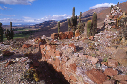 Les <i>pucara</i>, anciens lieux de peuplement qui remontent au moins  la colonisation inca de la rgion de Jujuy, au XIVesicle, sont nombreux dans la Quebrada. Des cactus dits <i>cardn</i> signalent encore la position de ces points dobservation et de vie, autrefois fortifis.