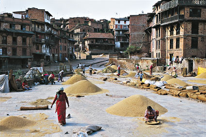 Bhaktapur. Ancienne cit royale de la valle de Katmandou, Bhaktapur a conserv une atmosphre tranquille, loin de lagitation de la capitale. Renomme pour son artisanat de poterie, la ville voit ses rues et places publiques envahies par des activits traditionnelles, comme le vannage du grain. Ainsi se forment des dizaines de monticules qui brillent au soleil.