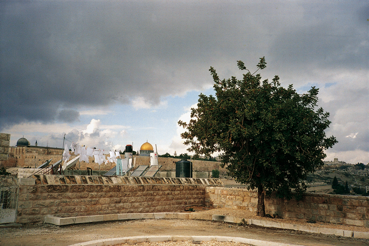 La coupole dore du dme du Rocher domine la ville entire de Jrusalem.
