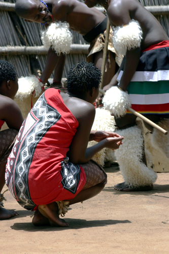 Femme swazi s’adonnant à la danse de l’<i>umhlanga</i> ou du « roseau ». D’une durée de six jours, cette danse sacrée a pour but de rallier le peuple et de rendre hommage à son roi.