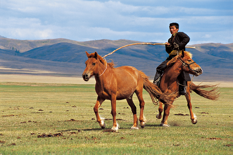 Les cavaliers changent rgulirement de monture. Pour capturer leurs chevaux, les leveurs des montagnes lOuest utilisent le lasso. Habitant des valles, cet homme manie l<i>uurga</i>, perche prolonge dune boucle de cuir.