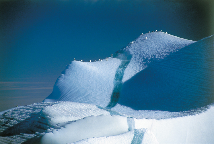 Dans la baie de Baffin, la route d<i>Ocean Search</i> croise celle des icebergs. La tension nerveuse quils pourraient ajouter  celle de six semaines de veille  la glace est pargne  lquipage par une mto exceptionnellement clmente.