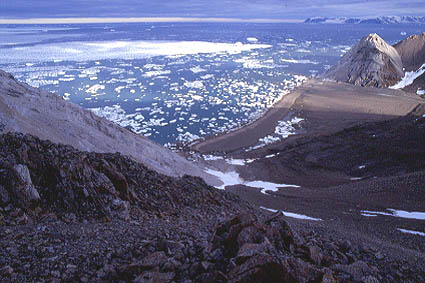 Le pack va entrer dans Glacier Strait, entre l’île Coburg et la pointe sud de la terre d’Ellesmere.