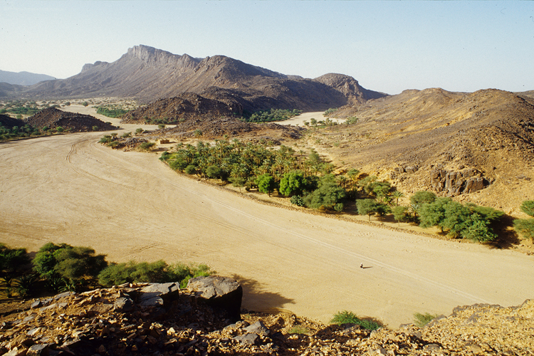 La palmeraie de la haute vallée de Timia se situe au cœur du massif de l’Aïr.
