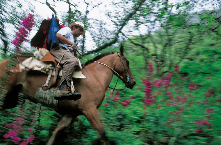 Rmy Rasse,  cheval avec son atelier en Araucanie (Chili).