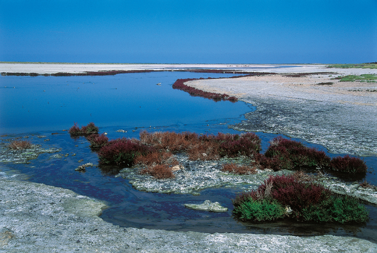  Abou-Lerchia, la percolation des eaux dinfiltration dans les grs a provoqu le dpt doxydes de fer, en loccurrence loligiste, rouge, et lhmatite, noire.