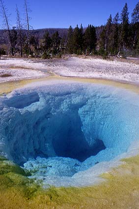 Source chaude du parc national de Yellowstone (Wyoming).
