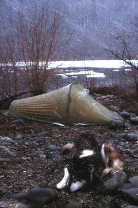 Bivouac sur les berges de la Klondike (Yukon).