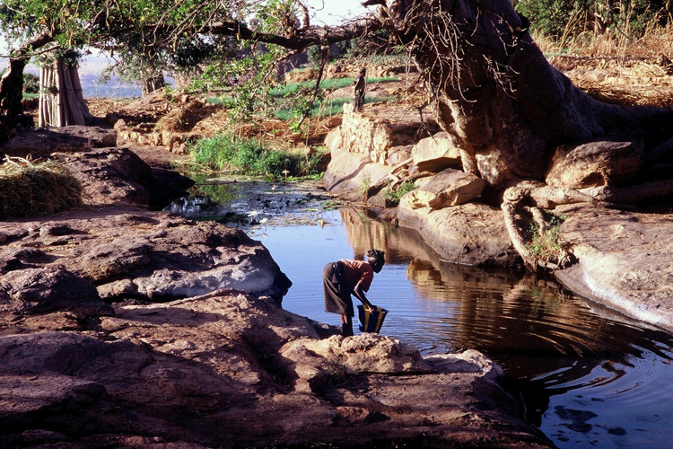Jardins marachers prs du village de Bongo. De petits barrages permettent la culture de jardins, principalement doignons, pendant la saison sche.