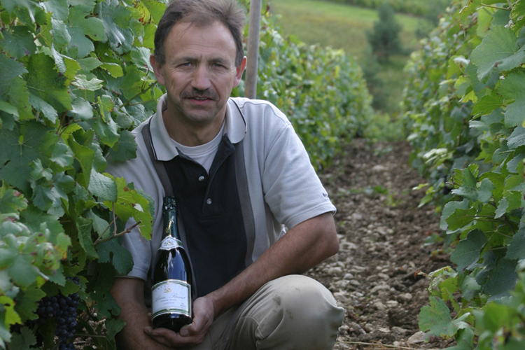Alain Raut, viticulteur  Courteron(Aube).��