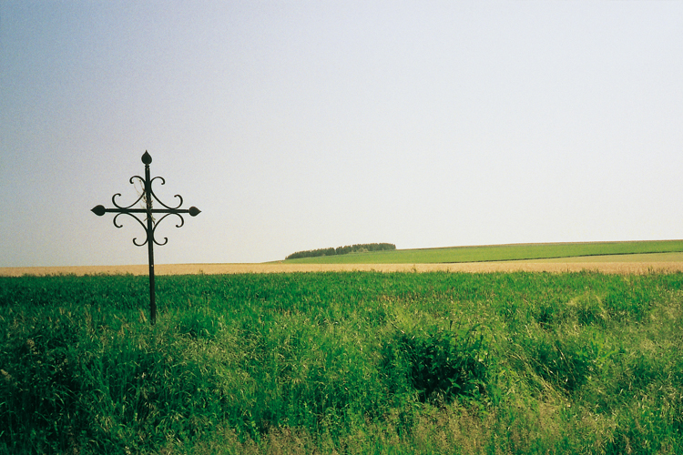 Les premières étapes du périple traversent la Brie, où une croix chrétienne se profile au-dessus d’un champ de blé en herbe.