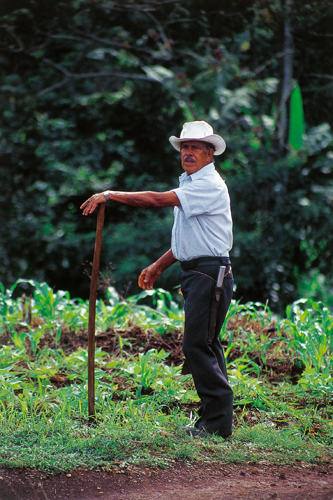 Ramón, <i>campesino</i>, cultive le café arabica dans la vallée de San Isidro del General (Costa Rica).