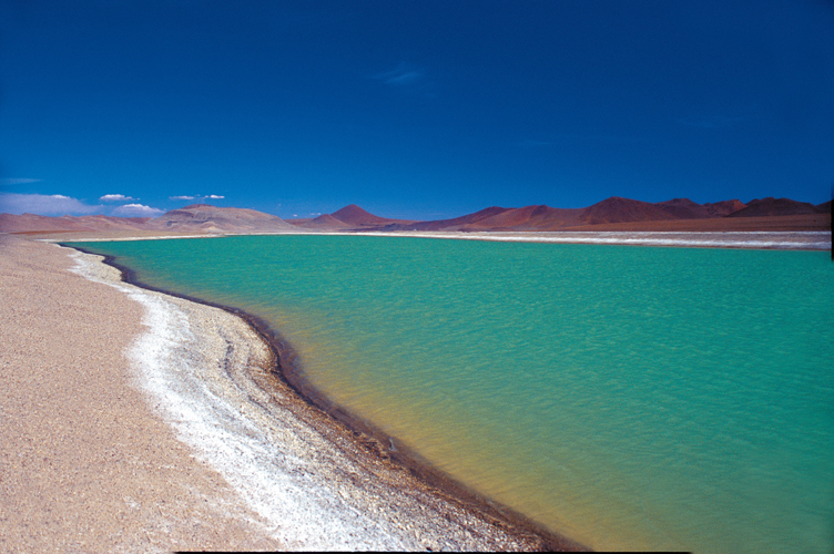 Laguna Quipiaco, à proximité de San Pedro de Atacama (Chili).