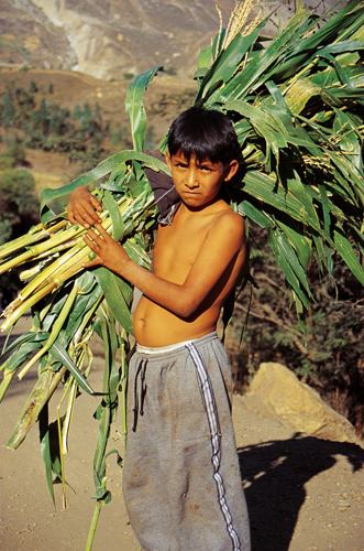 Enfant des environs d’Huaraz (Pérou).