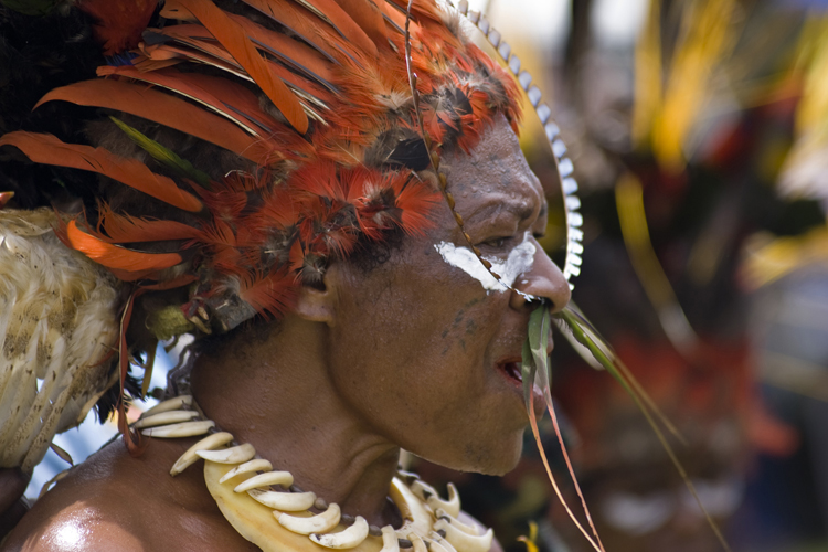 Cette femme de la province de Simbue arbore dans son nez percé une plume de paradisier « du Prince Albert ».