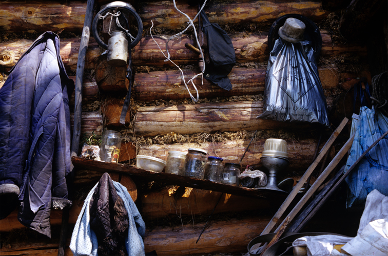 Les Sibriens isolent leurs cabanes selon un principe ancestral, en sparant chaque rondins de bois dune bourre de mousse sche mle de lichen, de crin ou de laine.